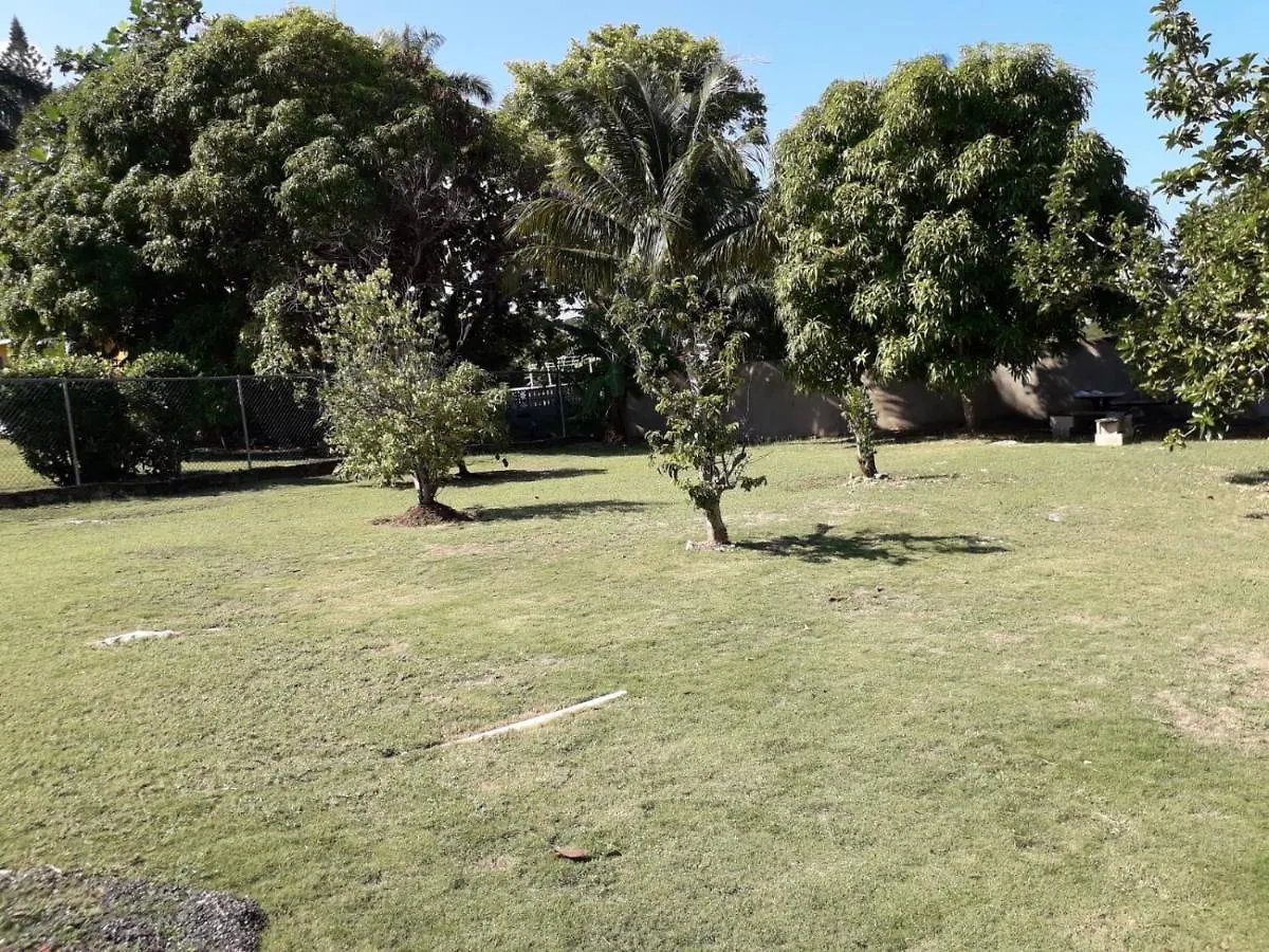 Rose View Apartment Montego Bay